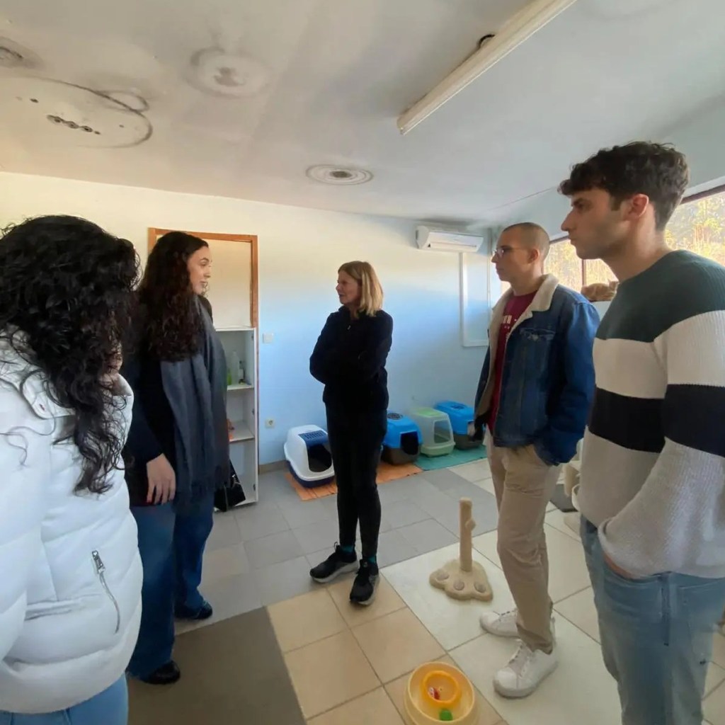 Roteiro de associações –&nbsp;AANIFEIRA